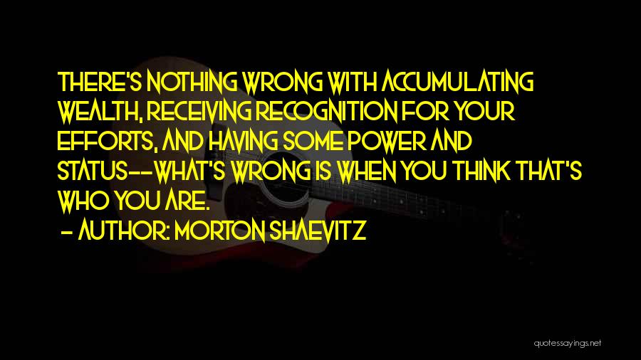 Power And Wealth Quotes By Morton Shaevitz