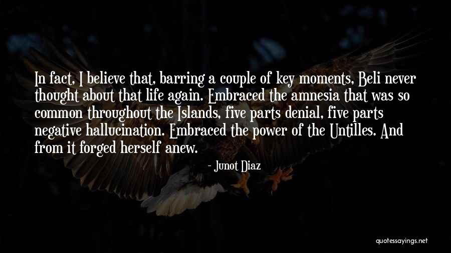 Power Couple Quotes By Junot Diaz Power Couple Quotes By Junot Diaz