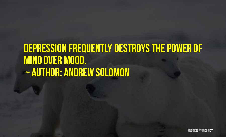 Power Destroys Quotes By Andrew Solomon