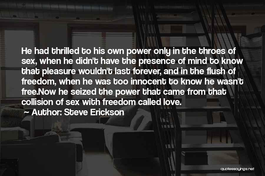 Power Flush Quotes By Steve Erickson