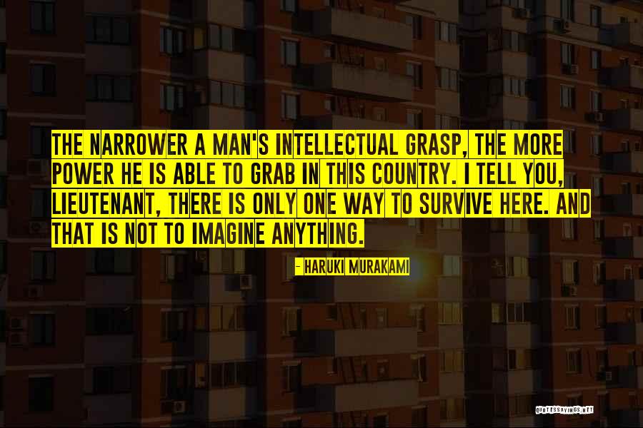 Power Grab Quotes By Haruki Murakami Power Grab Quotes By Haruki Murakami
