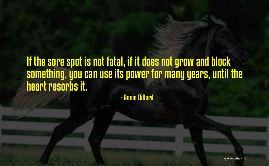 Power Heart Quotes By Annie Dillard Power Heart Quotes By Annie Dillard