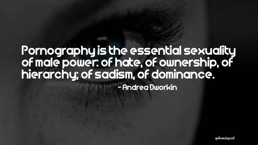 Power Hierarchy Quotes By Andrea Dworkin