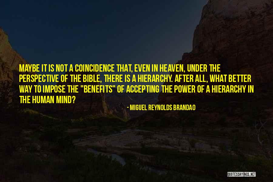 Power Hierarchy Quotes By Miguel Reynolds Brandao