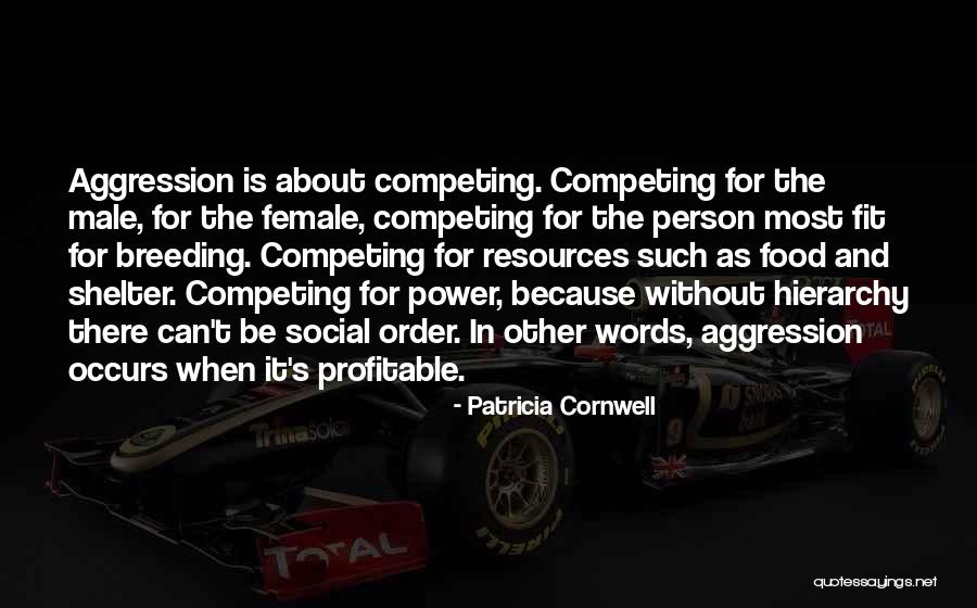 Power Hierarchy Quotes By Patricia Cornwell