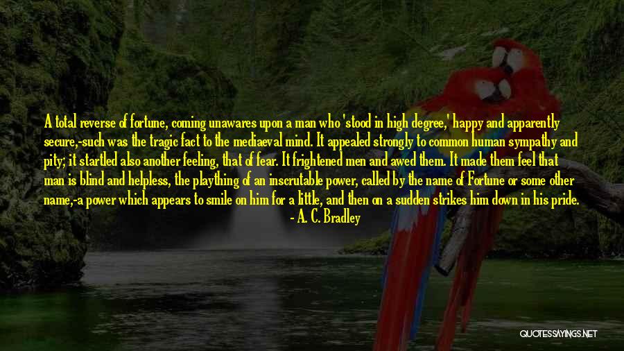 Power In A Name Quotes By A. C. Bradley Power In A Name Quotes By A. C. Bradley