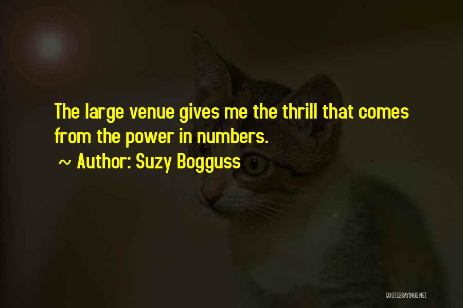 Power In Numbers Quotes By Suzy Bogguss