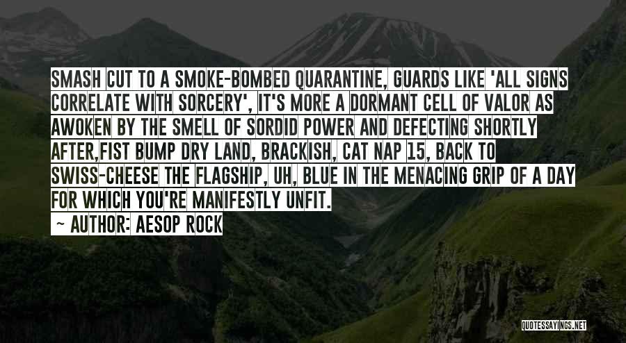 Power Nap Quotes By Aesop Rock