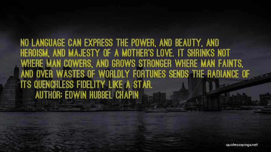 Power Of A Mother's Love Quotes By Edwin Hubbel Chapin