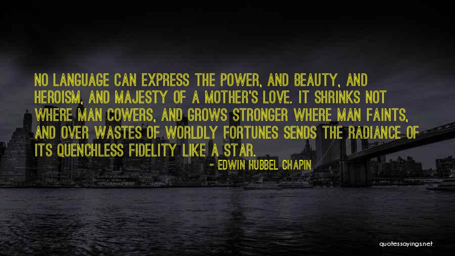 Power Of A Mother's Love Quotes By Edwin Hubbel Chapin