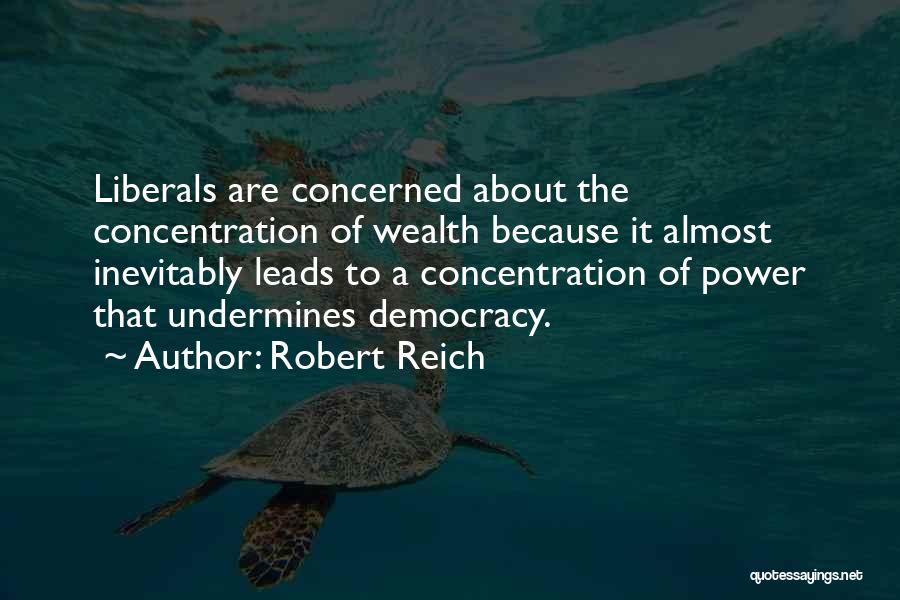 Power Of Concentration Quotes By Robert Reich