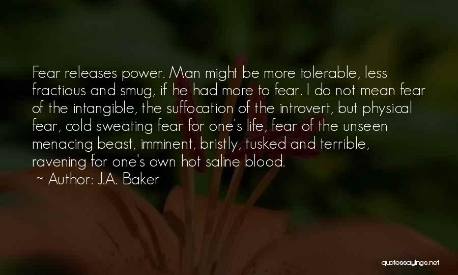 Power Of Introvert Quotes By J.A. Baker