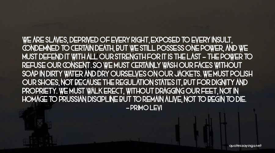 Power Of Literature Quotes By Primo Levi