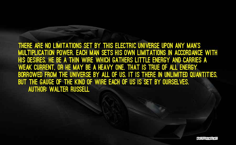 Power Of One Man Quotes By Walter Russell