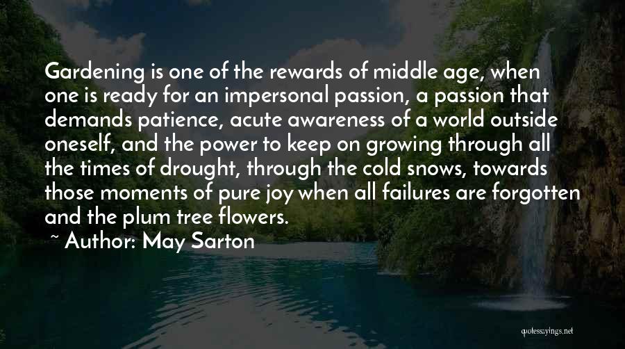 Power Of Patience Quotes By May Sarton