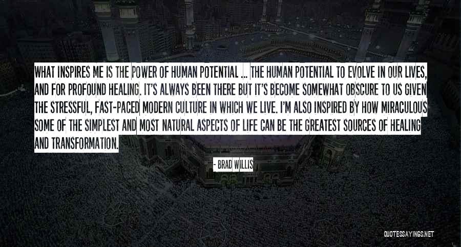 Power Of Self Healing Quotes By Brad Willis Power Of Self Healing Quotes By Brad Willis