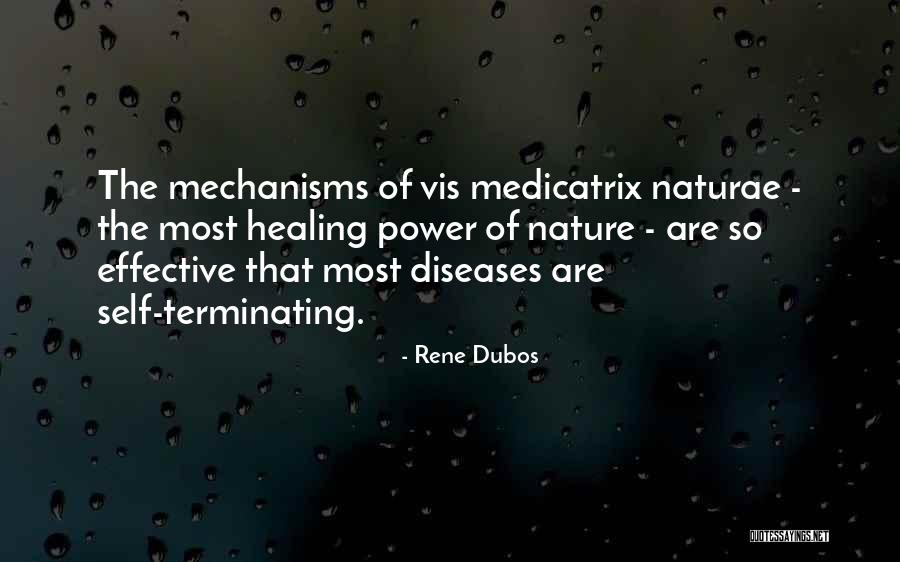 Power Of Self Healing Quotes By Rene Dubos Power Of Self Healing Quotes By Rene Dubos