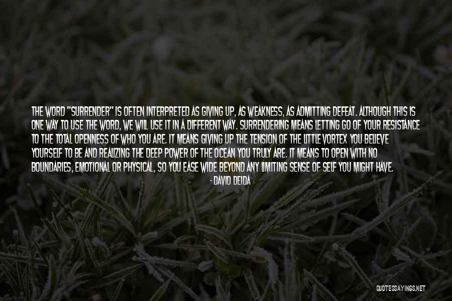 Power Of The Ocean Quotes By David Deida Power Of The Ocean Quotes By David Deida