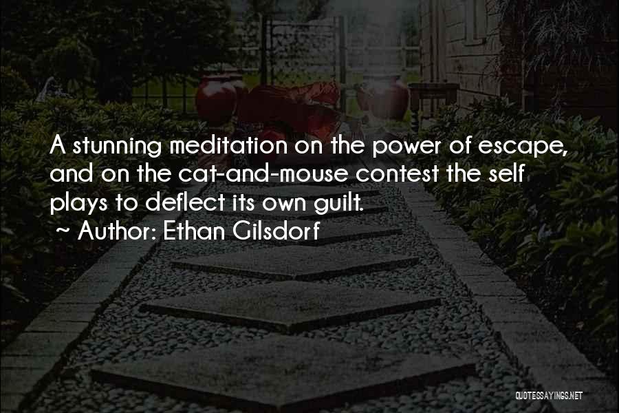 Power Plays Quotes By Ethan Gilsdorf