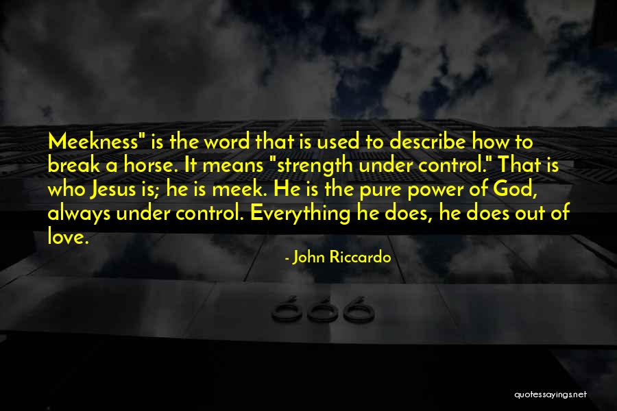 Power Strength Quotes By John Riccardo