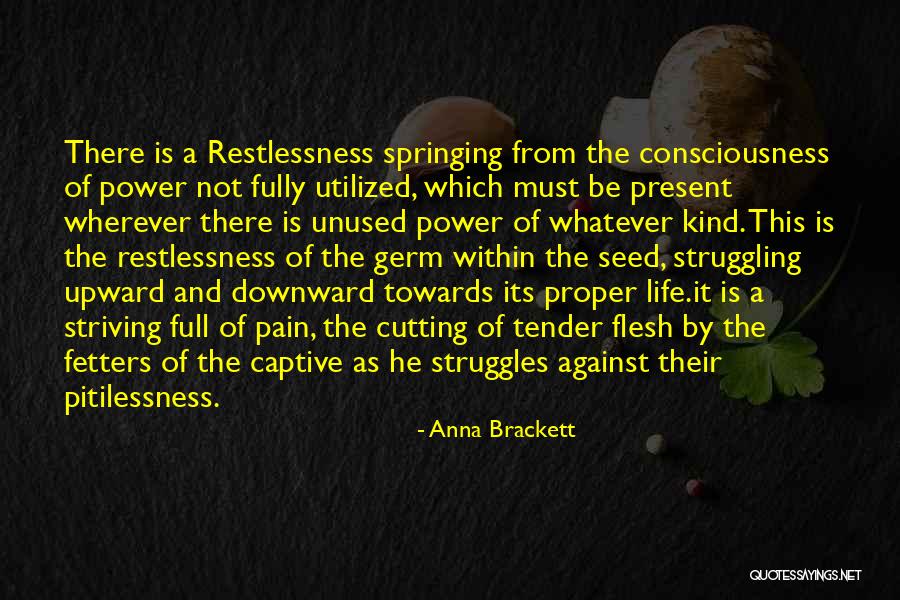 Power Struggles Quotes By Anna Brackett