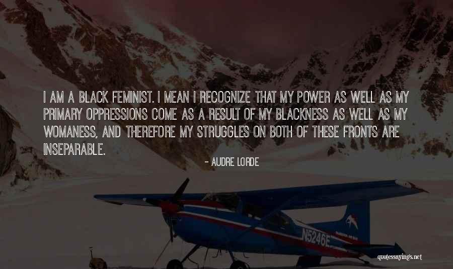 Power Struggles Quotes By Audre Lorde