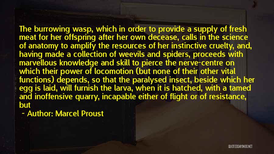 Power Supply Quotes By Marcel Proust