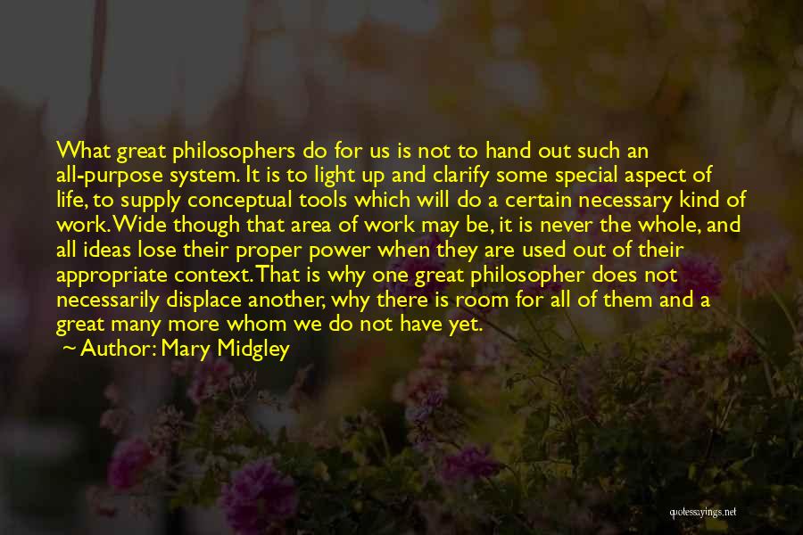 Power Supply Quotes By Mary Midgley