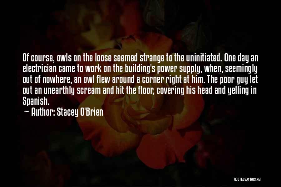 Power Supply Quotes By Stacey O'Brien