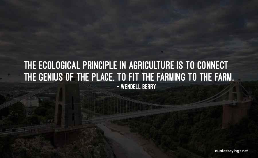 Power Thatching Quotes By Wendell Berry Power Thatching Quotes By Wendell Berry