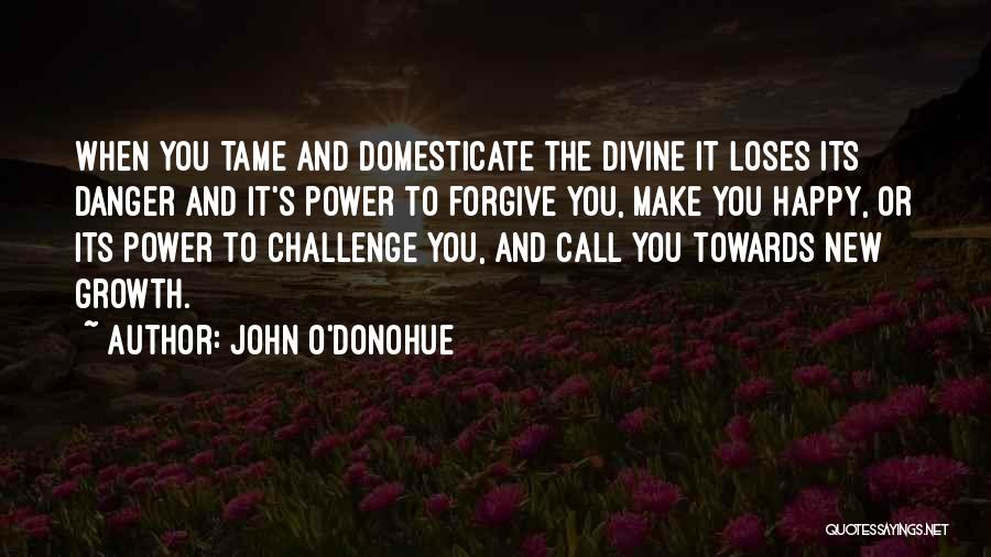 Power To Forgive Quotes By John O'Donohue