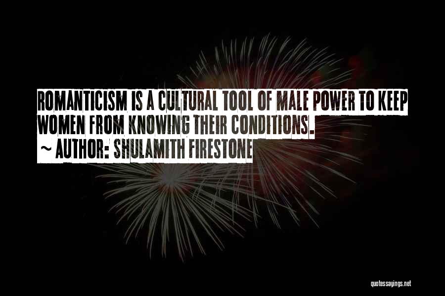 Power Tools Quotes By Shulamith Firestone