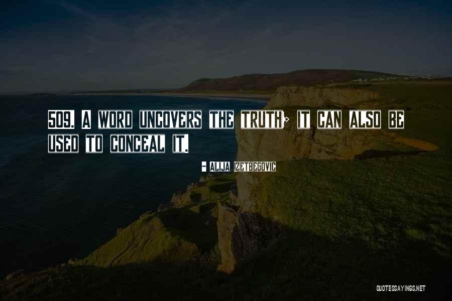 Powerboat Nation Quotes By Alija Izetbegovic