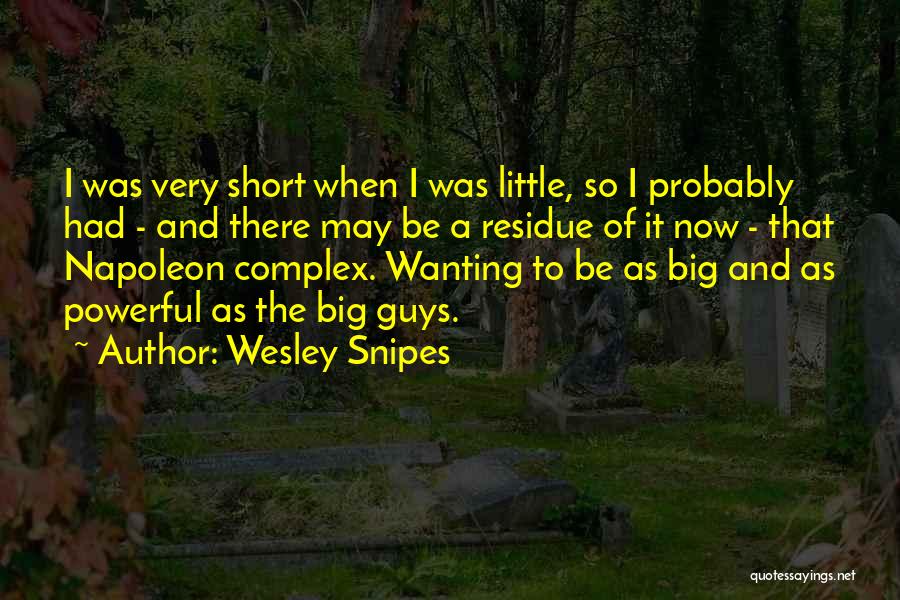 Powerful But Short Quotes By Wesley Snipes