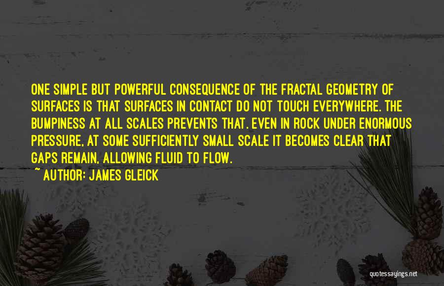 Powerful But Simple Quotes By James Gleick