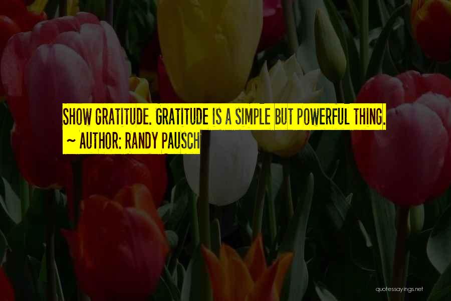 Powerful But Simple Quotes By Randy Pausch