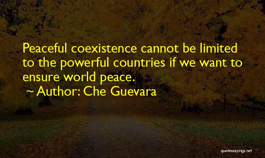 Powerful Countries Quotes By Che Guevara