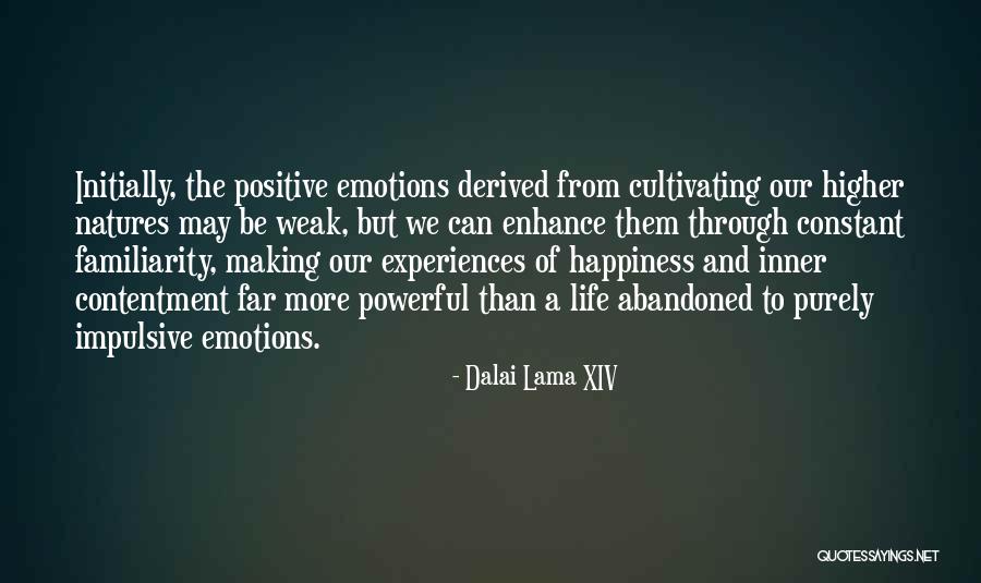 Powerful Emotions Quotes By Dalai Lama XIV