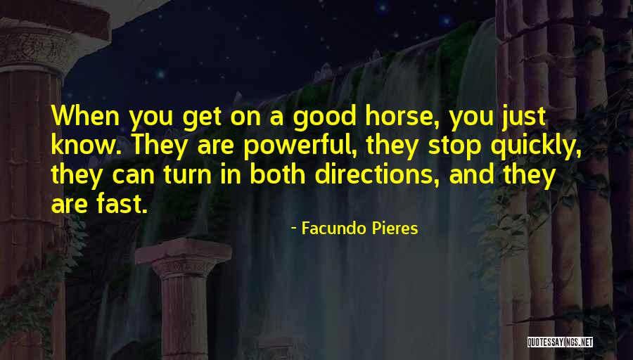 Powerful Horse Quotes By Facundo Pieres Powerful Horse Quotes By Facundo Pieres