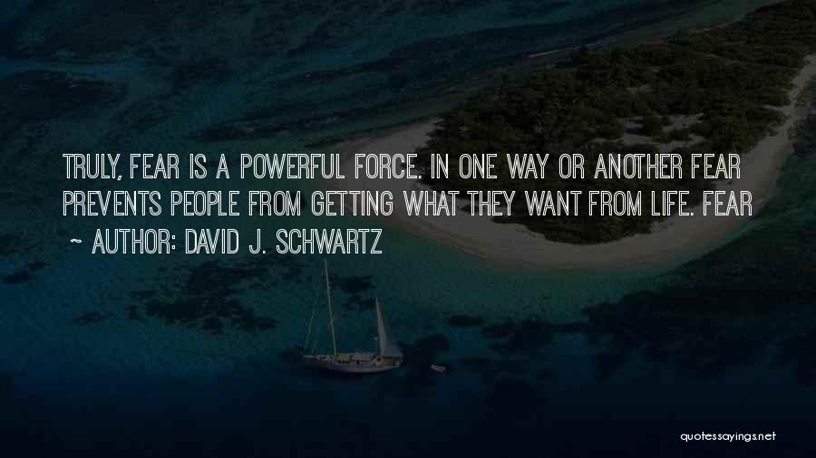 Powerful Life Force Quotes By David J. Schwartz