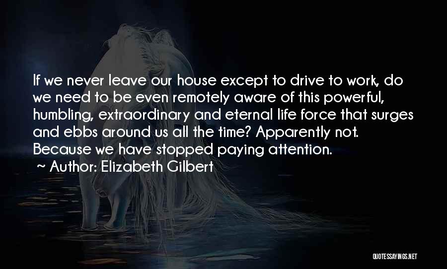 Powerful Life Force Quotes By Elizabeth Gilbert