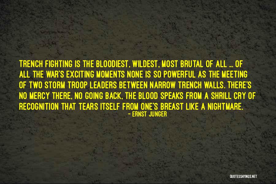 Powerful Moments Quotes By Ernst Junger Powerful Moments Quotes By Ernst Junger