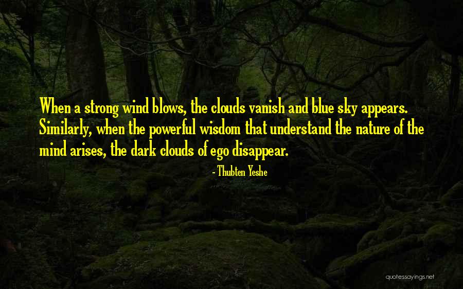 Powerful Nature Quotes By Thubten Yeshe Powerful Nature Quotes By Thubten Yeshe