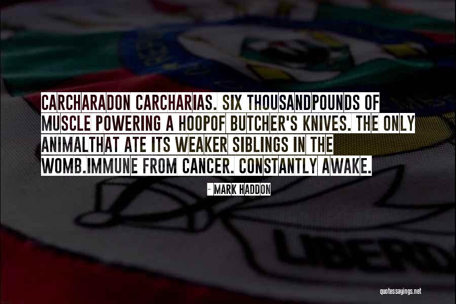 Powering Quotes By Mark Haddon