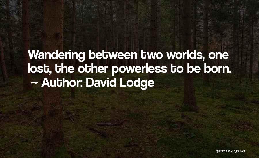 Powerless Quotes By David Lodge