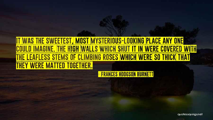 Powlison X Ray Quotes By Frances Hodgson Burnett Powlison X Ray Quotes By Frances Hodgson Burnett