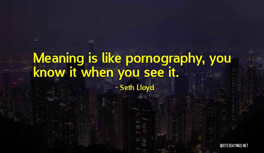Poyet Motte Quotes By Seth Lloyd Poyet Motte Quotes By Seth Lloyd