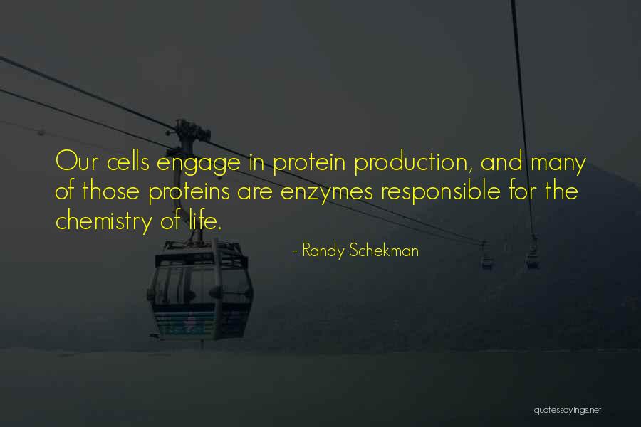Poynter Ford Quotes By Randy Schekman Poynter Ford Quotes By Randy Schekman