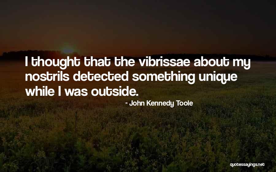 Pozbylem Quotes By John Kennedy Toole Pozbylem Quotes By John Kennedy Toole