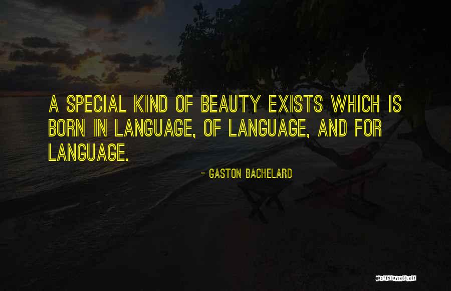 Pozivat Quotes By Gaston Bachelard Pozivat Quotes By Gaston Bachelard